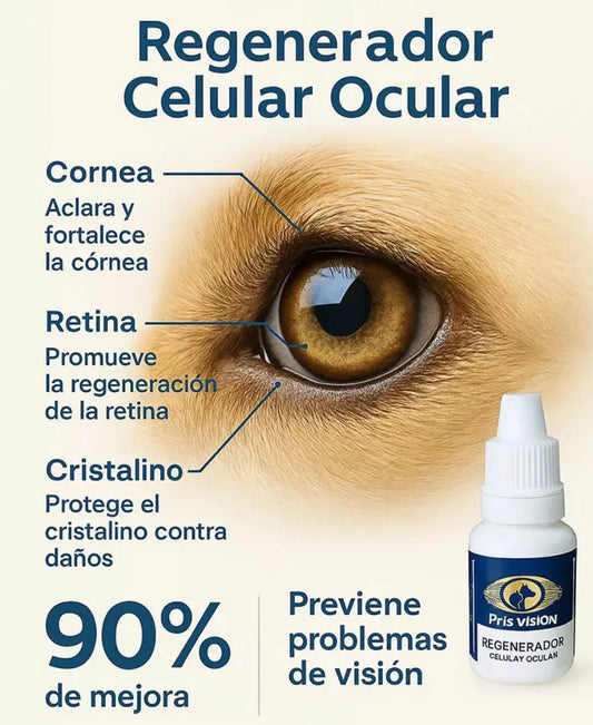 Pets Visión–Porque sus ojitos lo dicen todo