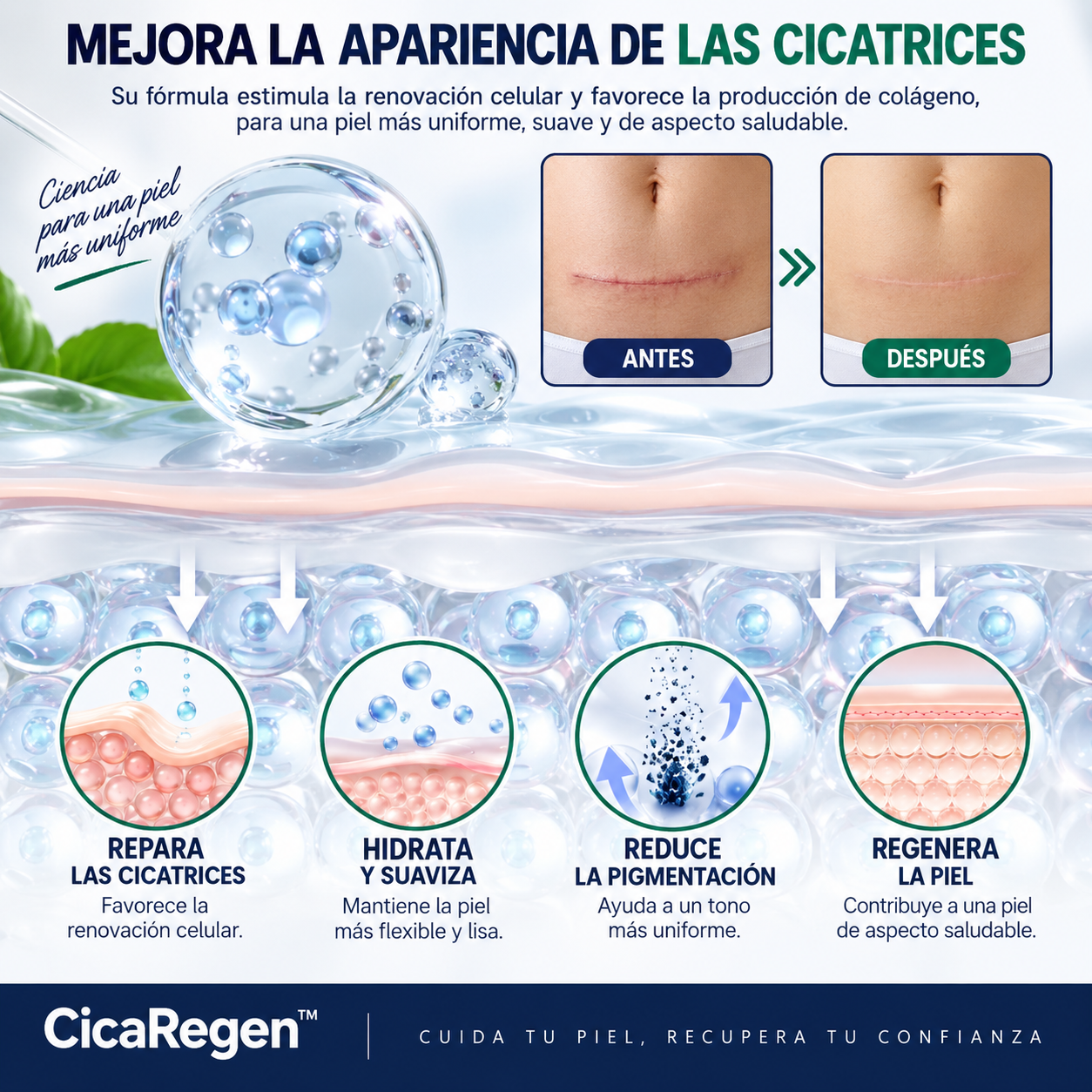 CicaRegen™ Gel Reparador de Cicatrices