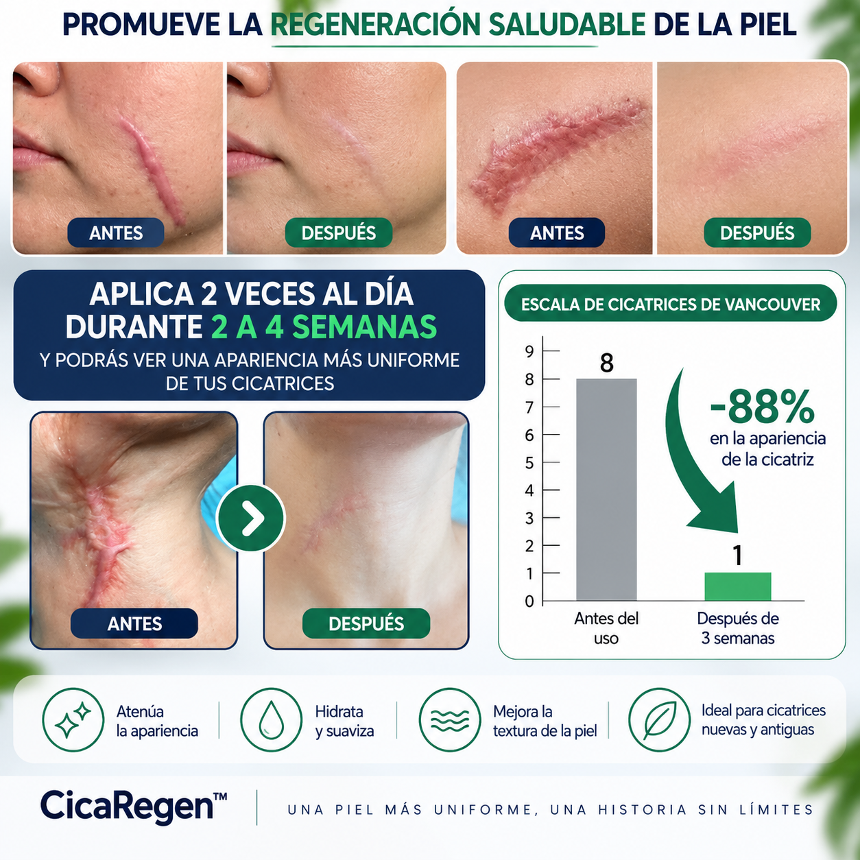 CicaRegen™ Gel Reparador de Cicatrices