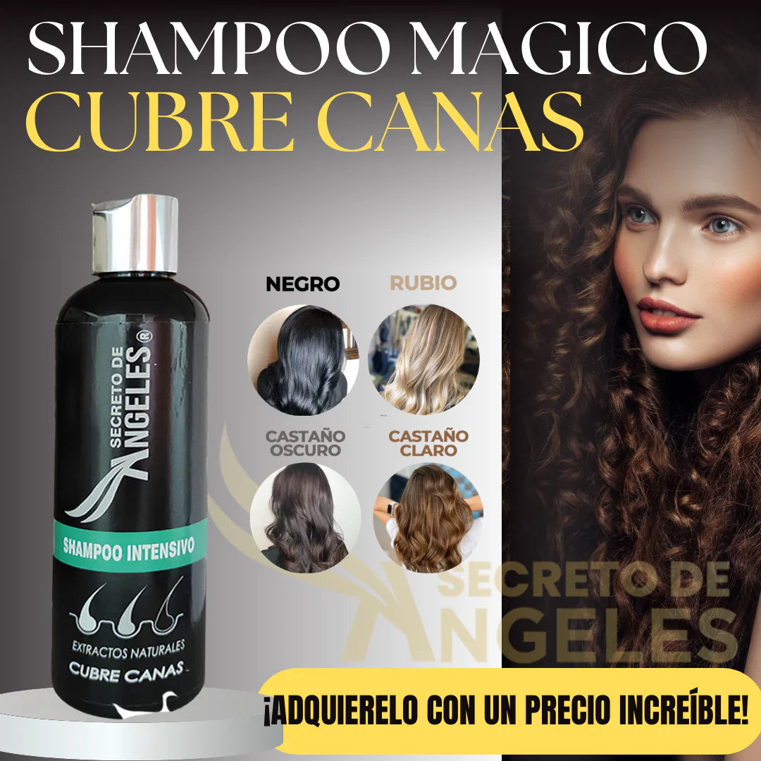 Shampoo Cubre Canas Aura Prime 3×1 con Colágeno + Resveratrol