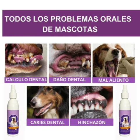 Happy Pets Fresh – Porque su aliento también importa 🐾