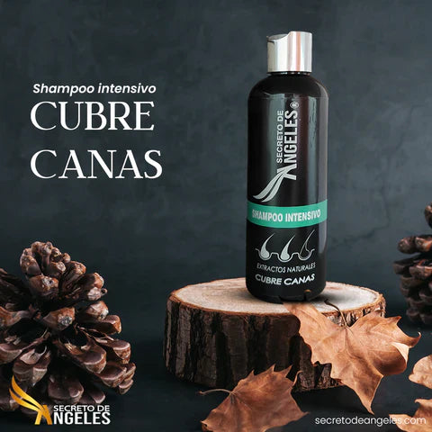 Shampoo Cubre Canas Aura Prime 3×1 con Colágeno + Resveratrol