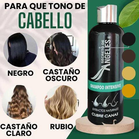 Shampoo Cubre Canas Aura Prime 3×1 con Colágeno + Resveratrol